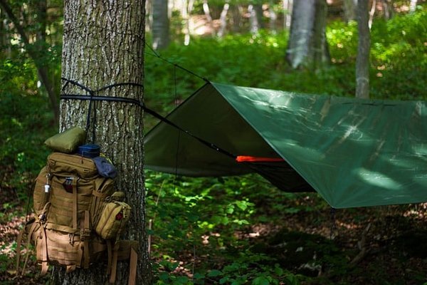 Quels sont les essentiels pour camper en forêt ?