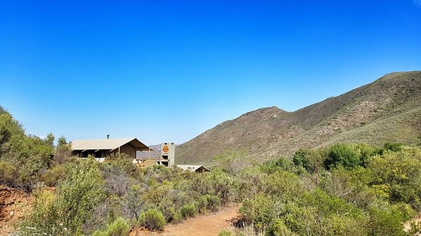 Quelles sont les nouvelles tendances en camping ?