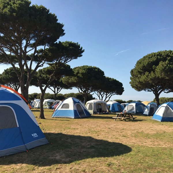 Quels sont les conseils pour camper en toute détente proche des Sables d'Olonnes ?