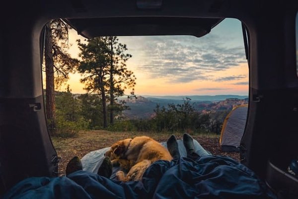 Quels sont les équipements indispensables pour un camping détente près du centre-ville du Grau du Roi ?