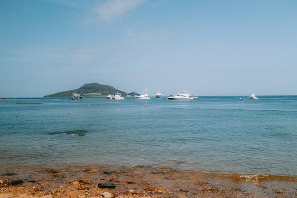 Les meilleurs campings à l'Île de ré